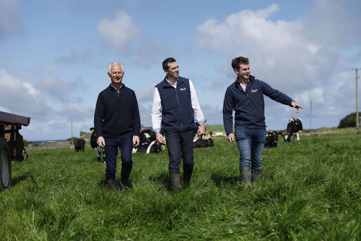 The reality of succession: planning for the farm's future | Accounting ...