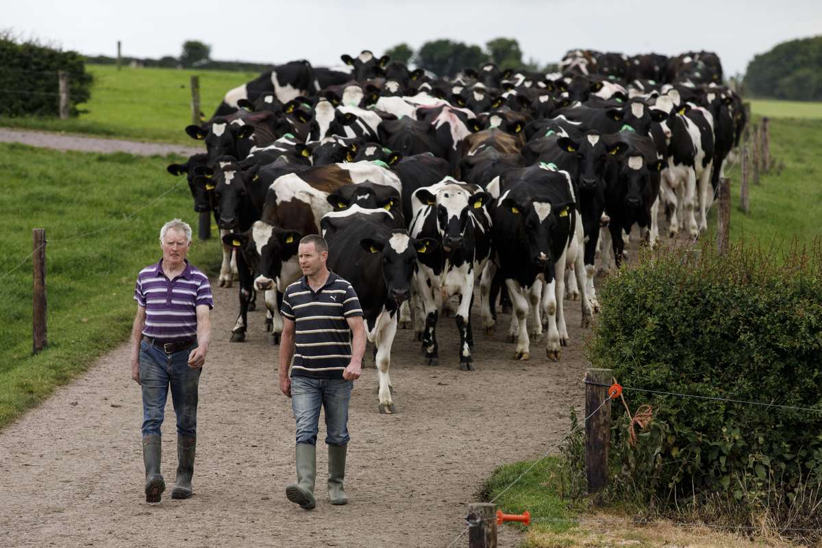 Weather Woes: Managing Farm Finances Amidst Unpredictable Climate ...