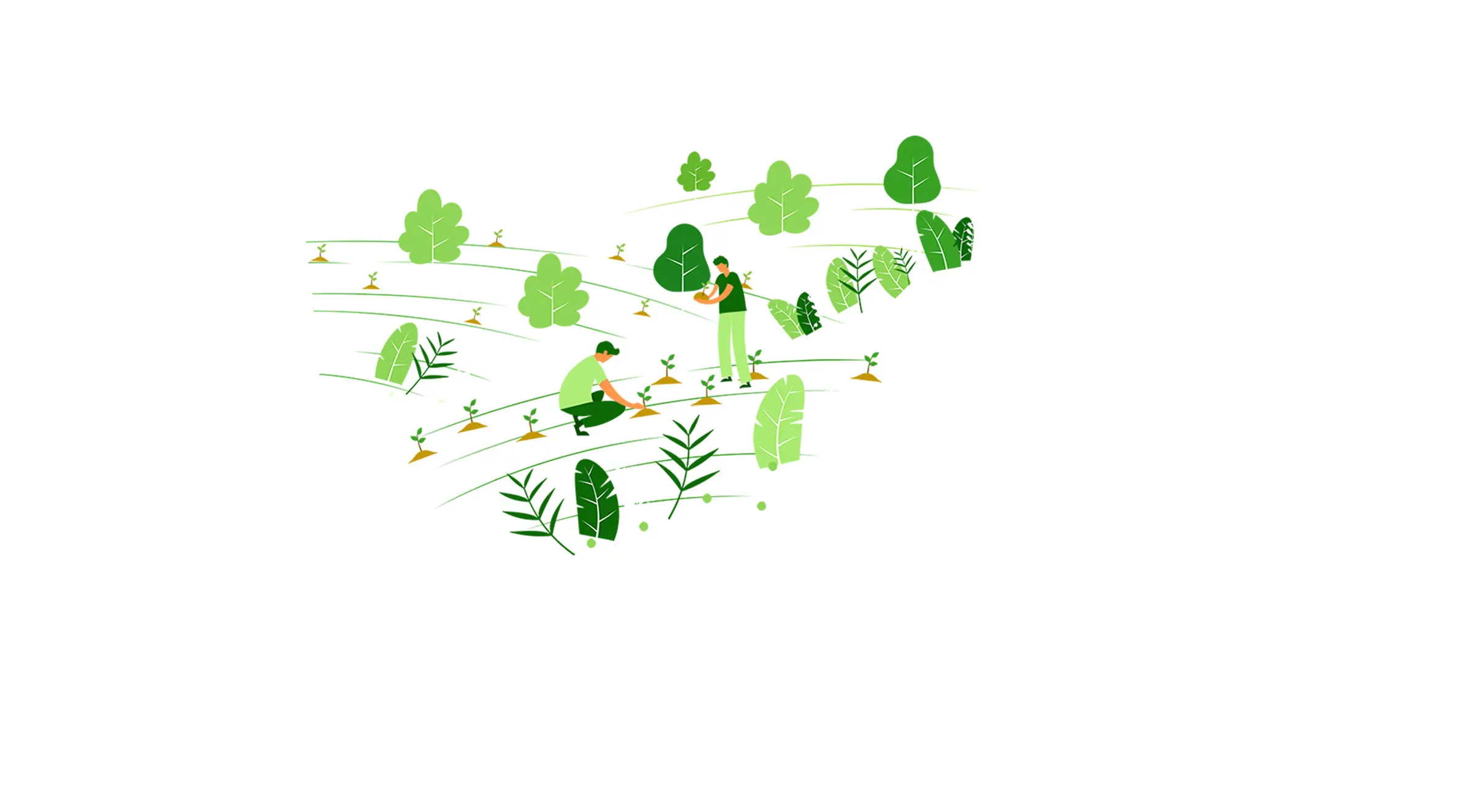 Local Green Initiatives