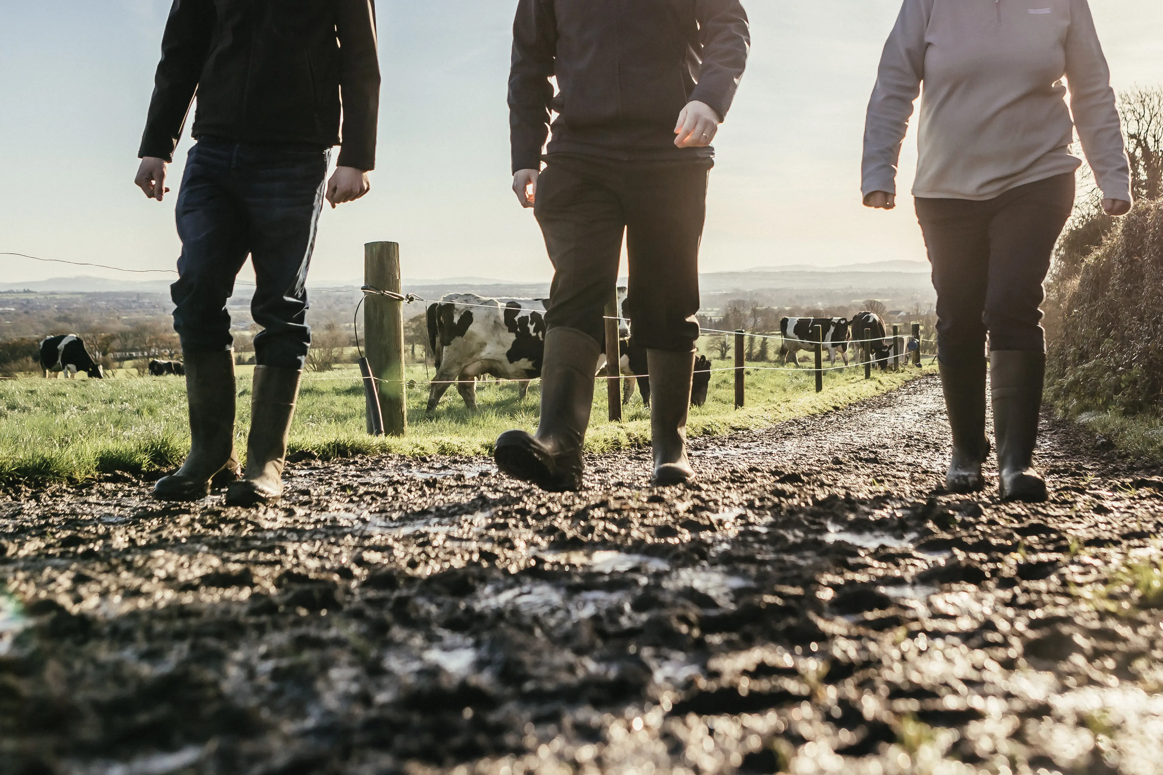 Where to start with succession planning
