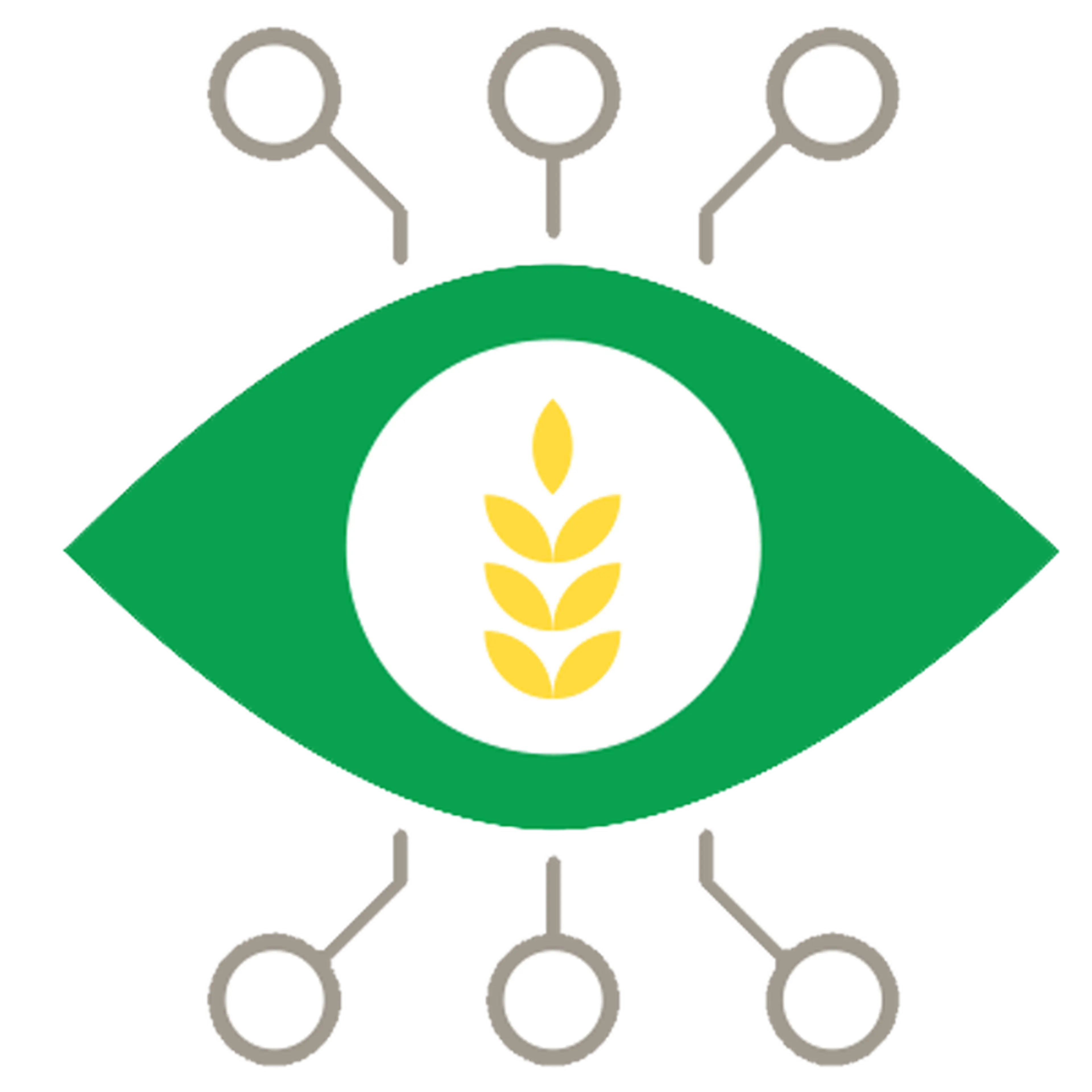 Infographics Image Grid