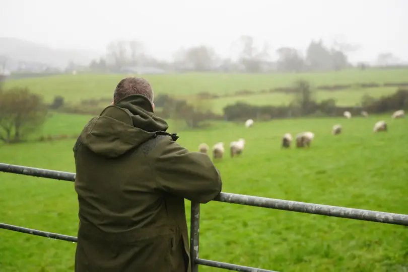 How unplanned succession led to sheep-farm success
