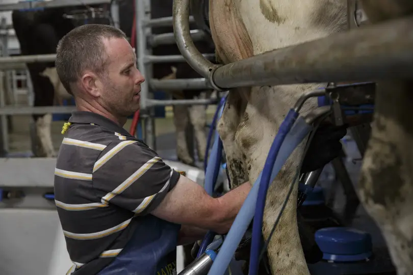 Ifac Predicts 42cpl Milk Production Costs for 2025 as Milk Prices Fall