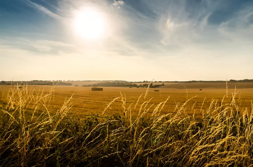 What a dry summer means for your farm's cashflow planning