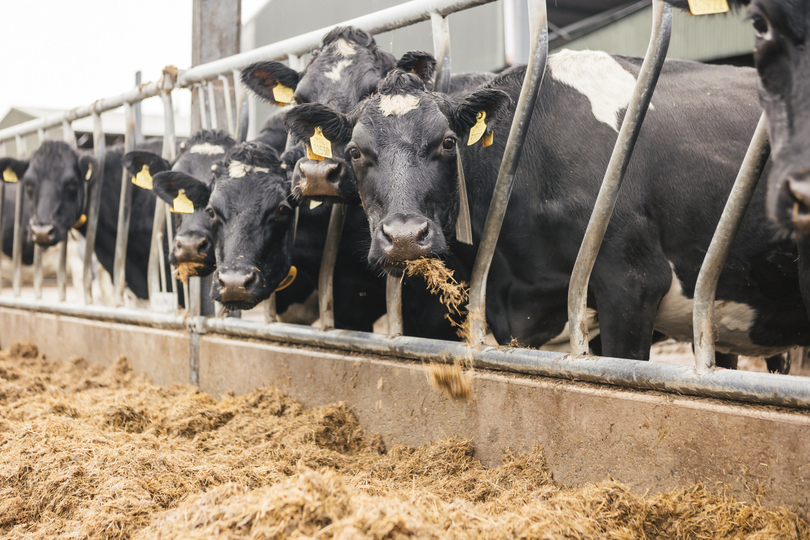 Slurry storage and how to manage the cashflow gap